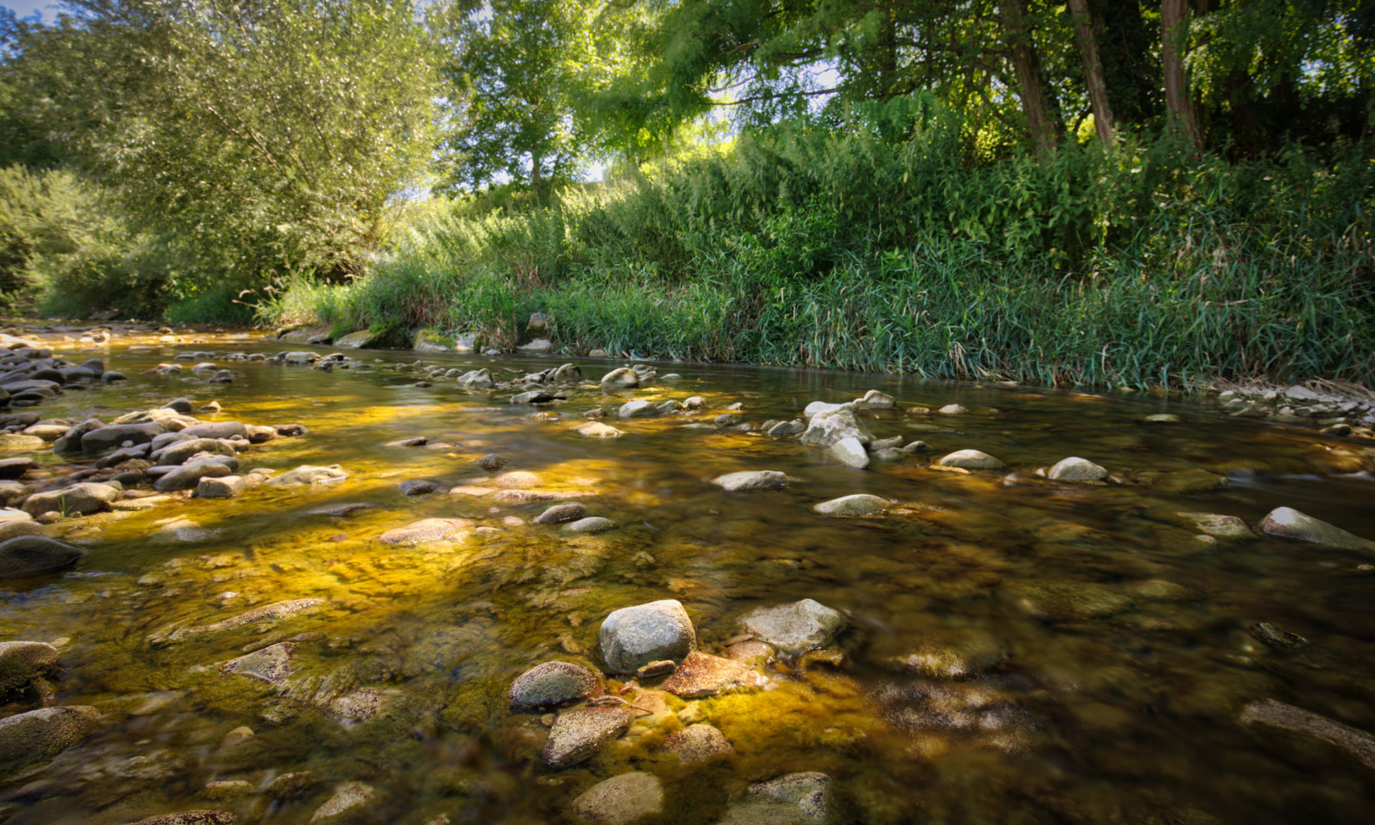 The Silent Creek