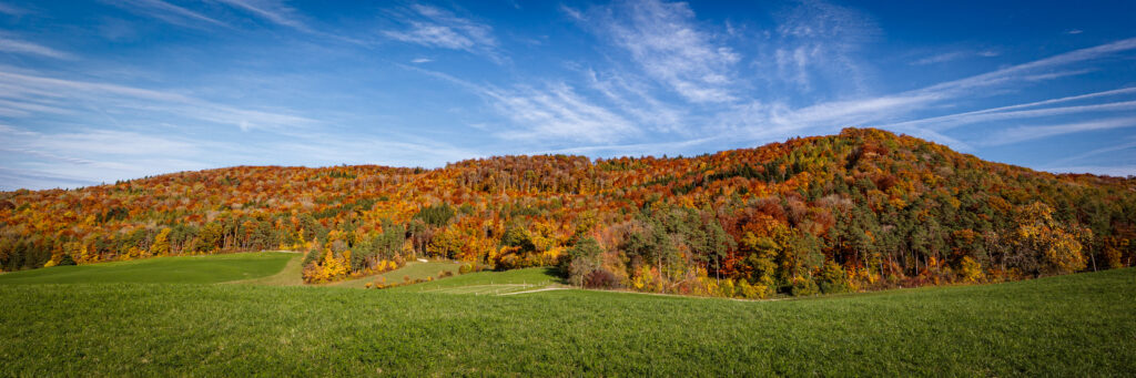 Farben dest Herbstes